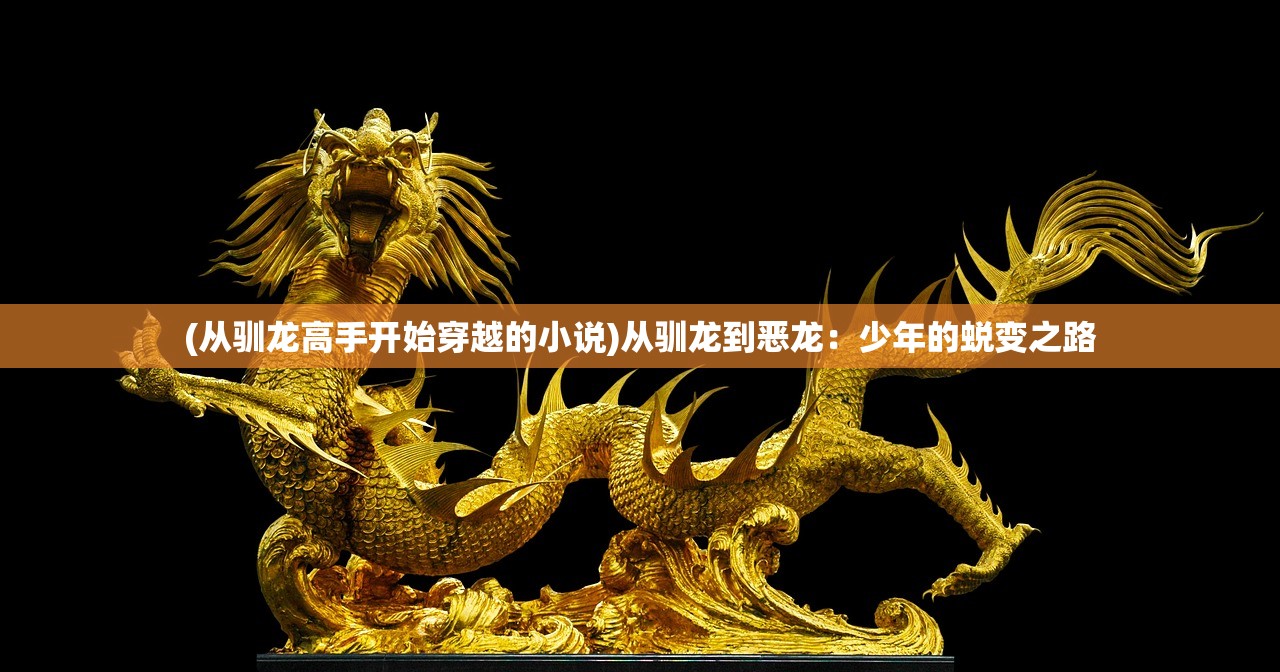 (从驯龙高手开始穿越的小说)从驯龙到恶龙：少年的蜕变之路