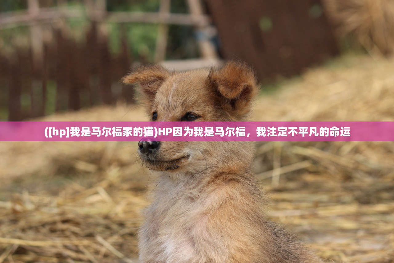 (命运神界梦境链接台服官网)命运神界梦境链接下架原因深度解析