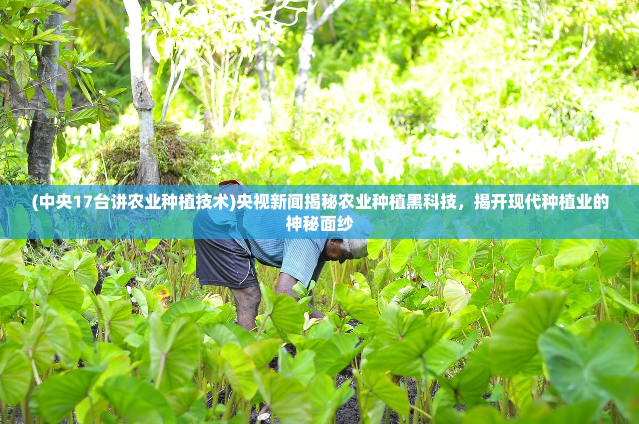 (九星霸体诀大帝是什么境界)《九星霸体诀大梵天经》详细介绍及修炼方法分享