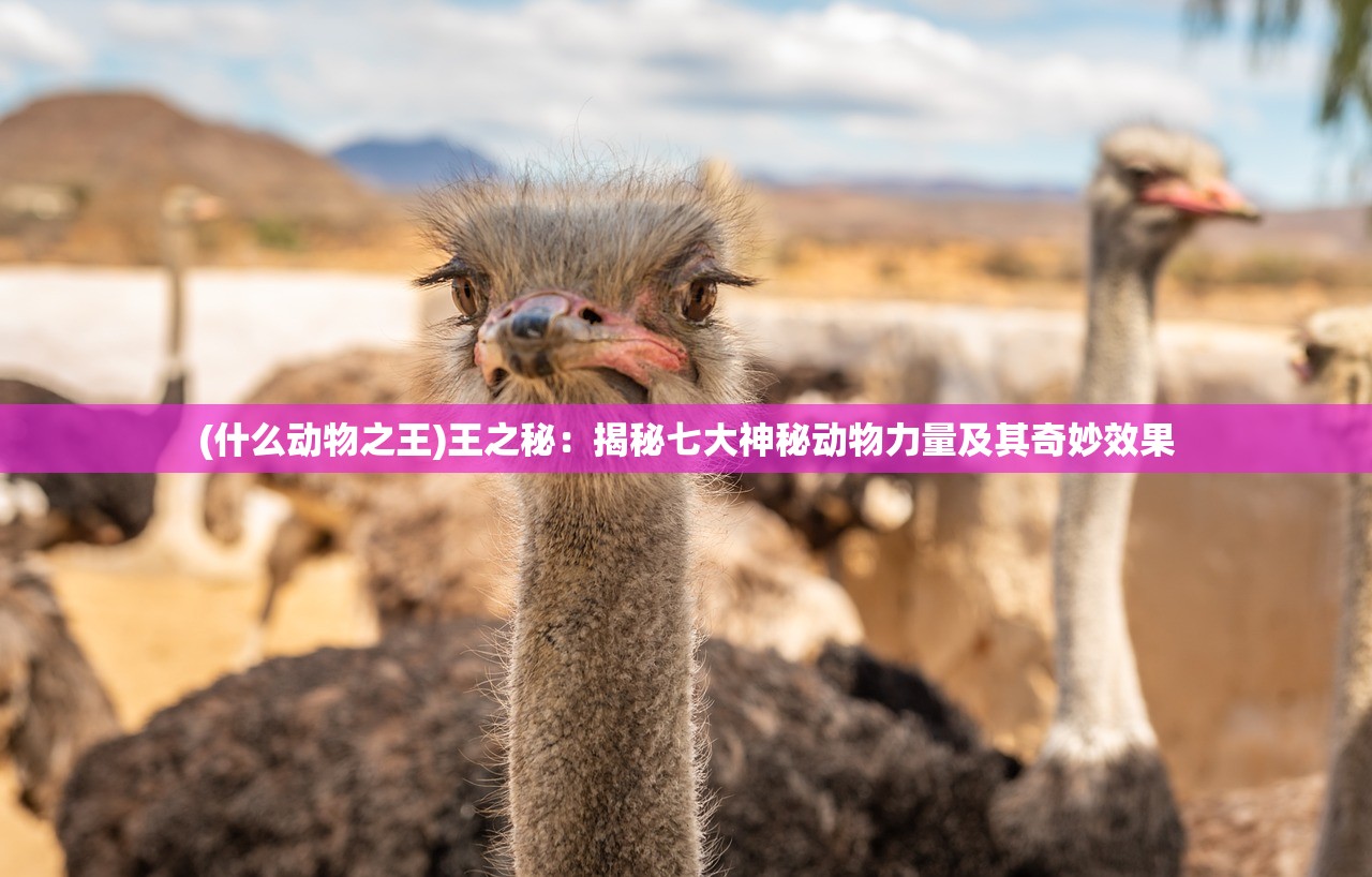 (缘结精灵有多少关)获得缘结精灵礼包码,尽享专属福利,畅玩精灵世界! (缘结精灵有多少关)获得缘结精灵礼包码,尽享专属福利,畅玩精灵世界!