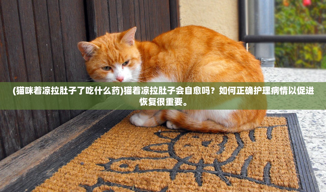(魂武者官方网站)全新版本的魂武者正版下载，等你来体验最新内容！