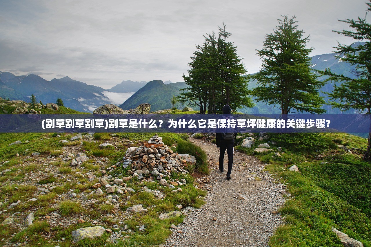 (永恒世界的游戏攻略)在永恒世界中凶手投票开箱密码泄露事件揭秘