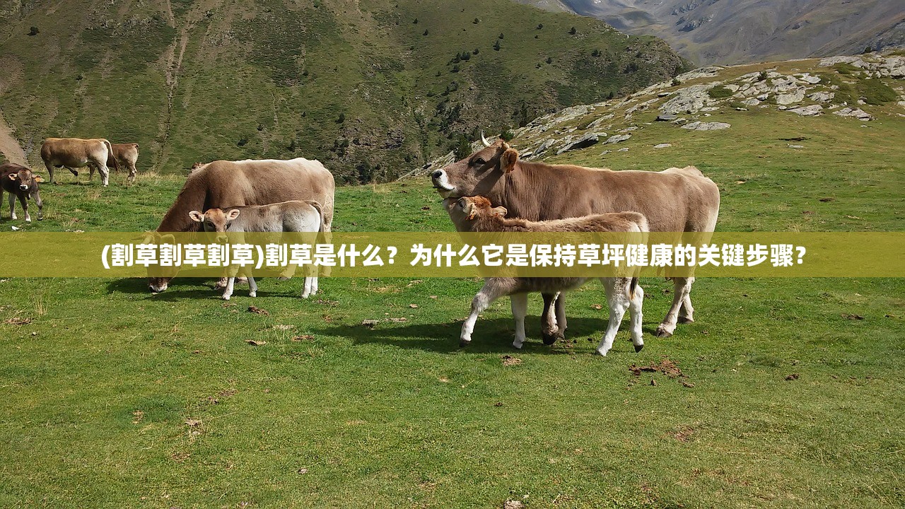 (一剑斩仙百度百科)一剑斩仙最新版：神兵降世，剑气纵横仙界