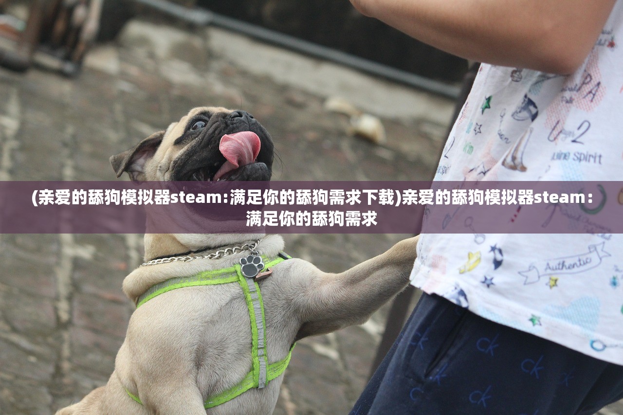 (仙风道骨手游攻略大全)仙风道骨手游：探寻传统文化之美