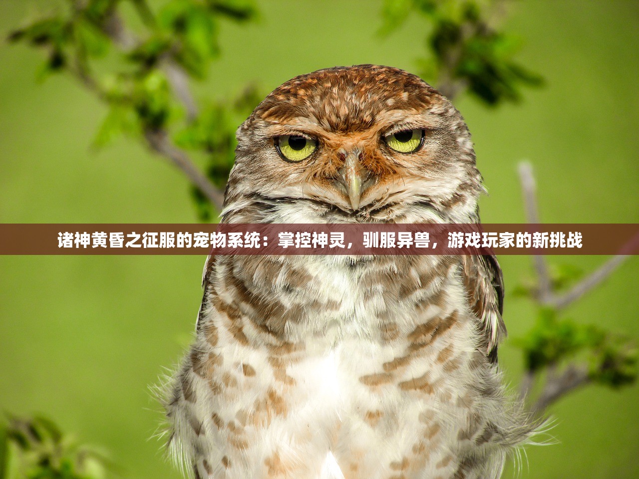 ww777766香港开奖结果23期|奇妙探索科技新趋势_旗舰款.0.36