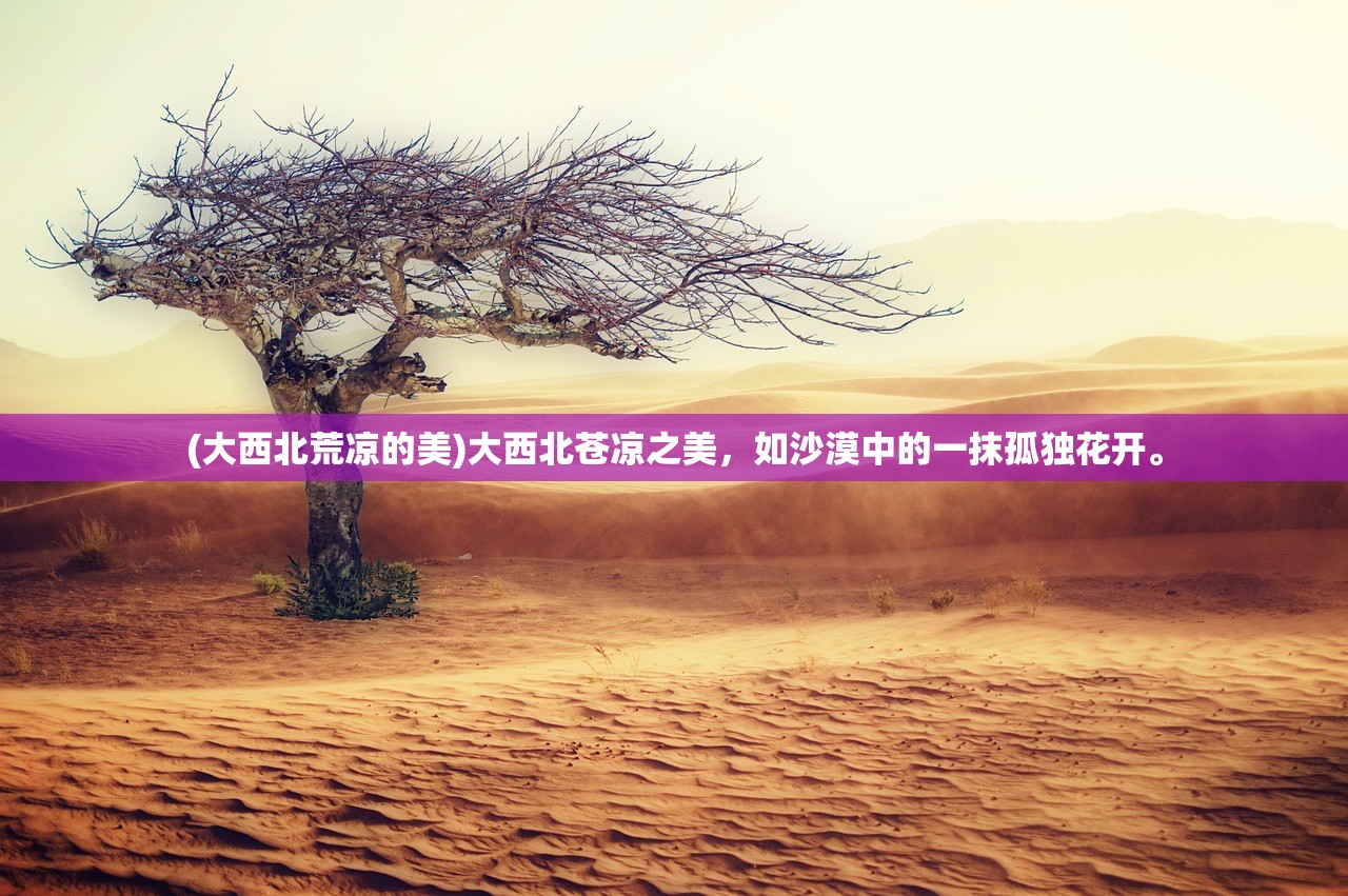 (阴阳师的现世召唤符咒)阴阳师现世召唤图：探寻古老符咒之力，穿越时空呼唤灵魂相助