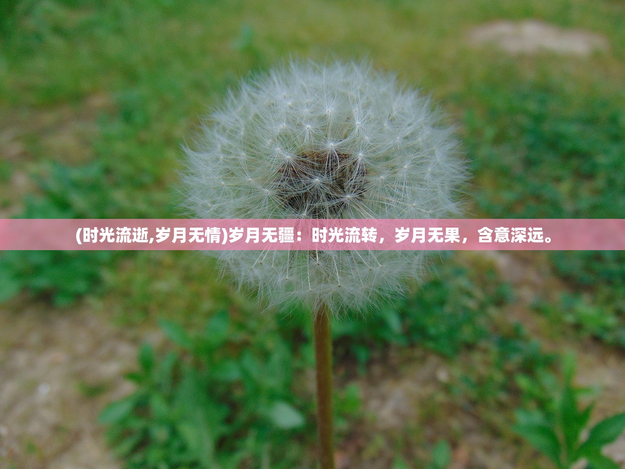 (时光流逝,岁月无情)岁月无疆：时光流转，岁月无果，含意深远。