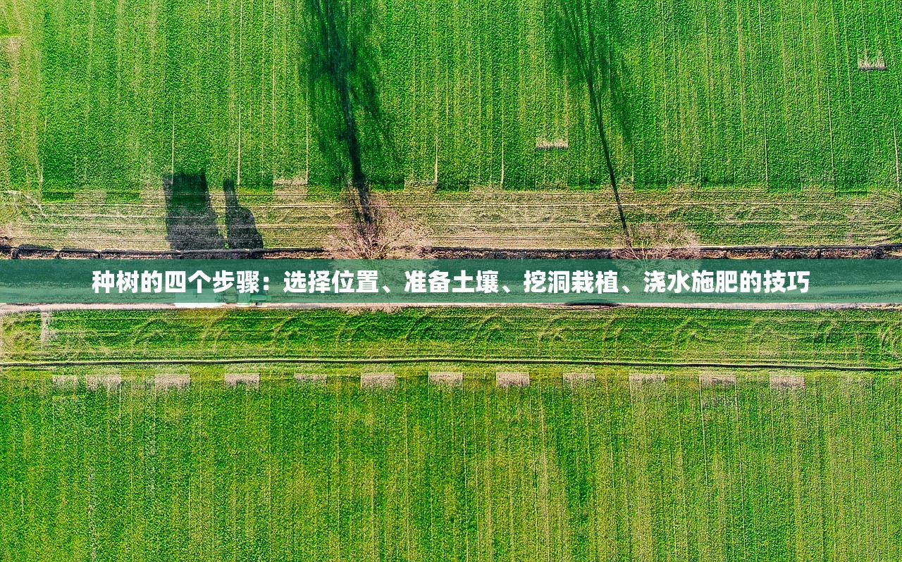 (皇后成长计划2弘昼攻略沈轻狂)皇后成长计划2弘昼攻略大全及常见问题解答