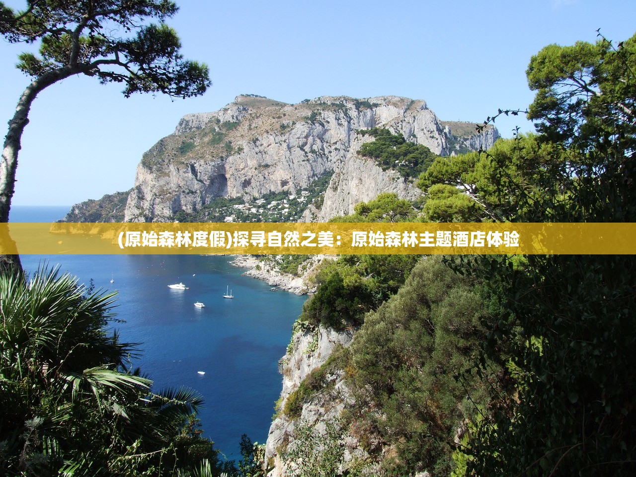 (原始森林度假)探寻自然之美：原始森林主题酒店体验