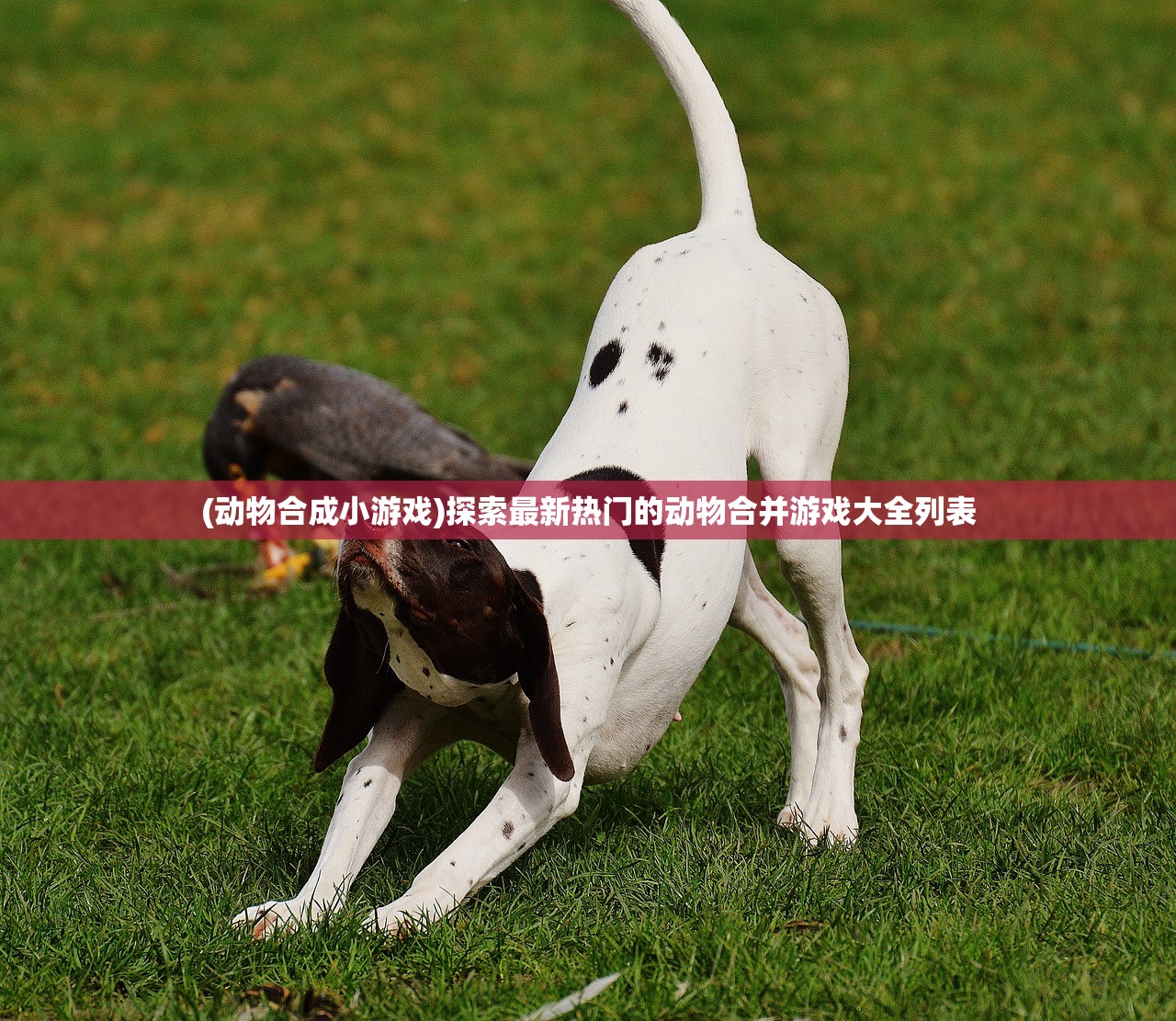 新澳天天开奖资料大全旅游团|实践验证解释落实_未来版SSIP.7.713 新澳天天开奖资料大全旅游团|实践验证解释落实_未来版SSIP.7.713