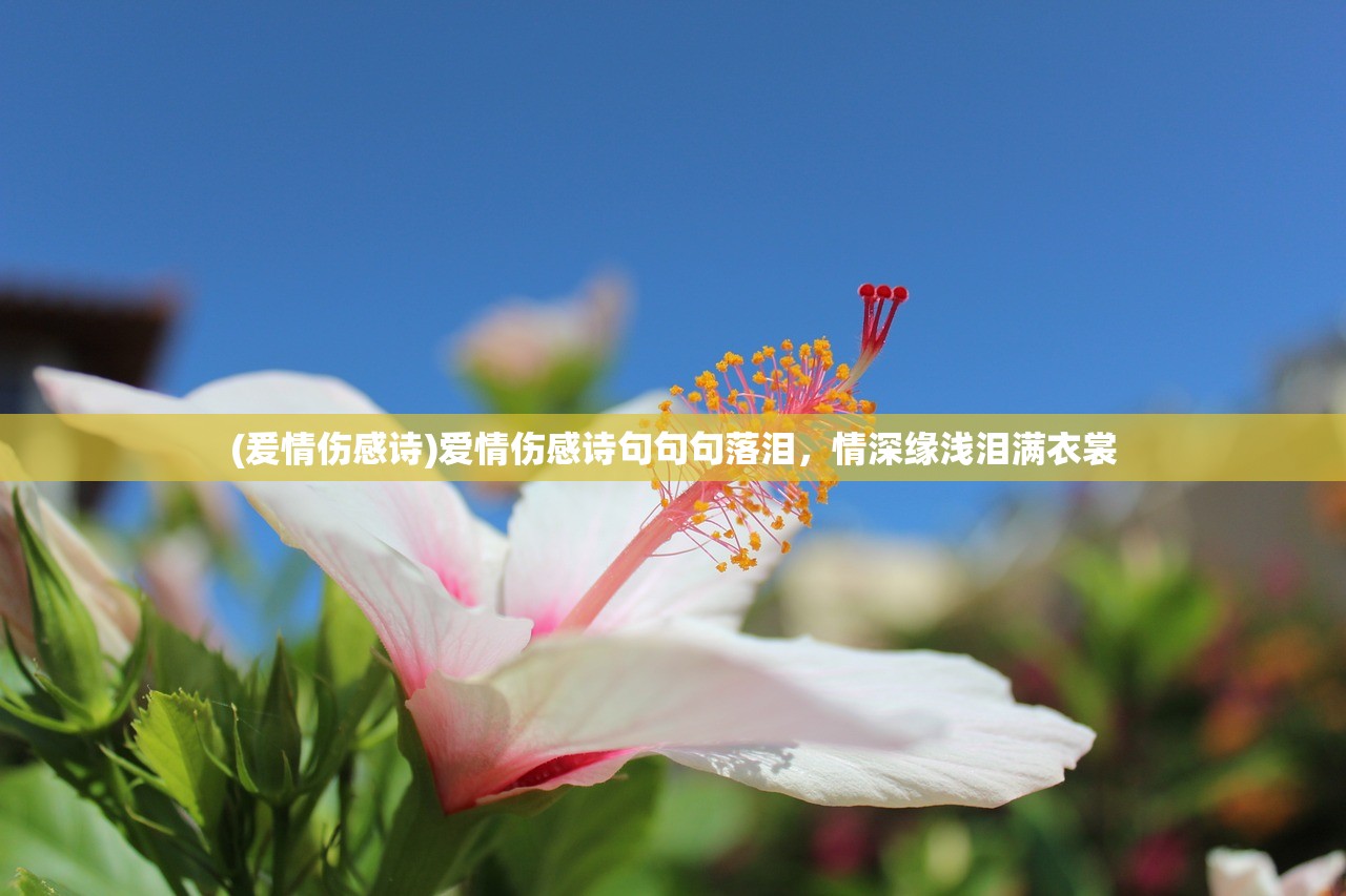 (爰情伤感诗)爱情伤感诗句句句落泪,情深缘浅泪满衣裳 (爰情伤感诗)爱情伤感诗句句句落泪,情深缘浅泪满衣裳