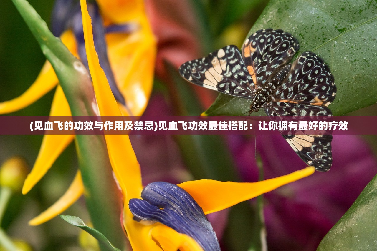 (幻境双生 战士怎么打)幻境双生战士，穿越虚实的勇者之旅