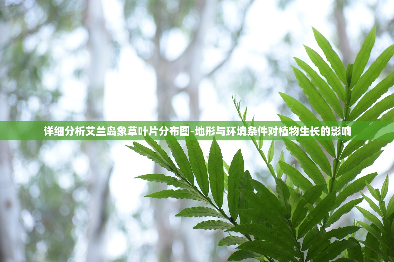 (王国纪元破解版)王国纪元辅助工具,免费挂机新体验 (王国纪元破解版)王国纪元辅助工具,免费挂机新体验