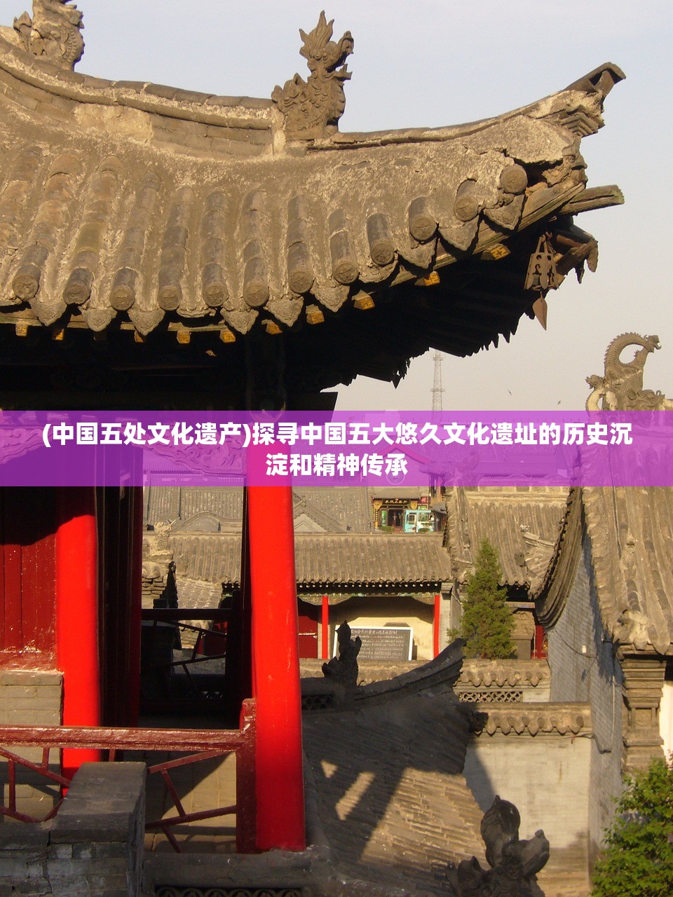 新奥免费精准资料大全|重要性解释落实方法_AP.6.675 新奥免费精准资料大全|重要性解释落实方法_AP.6.675