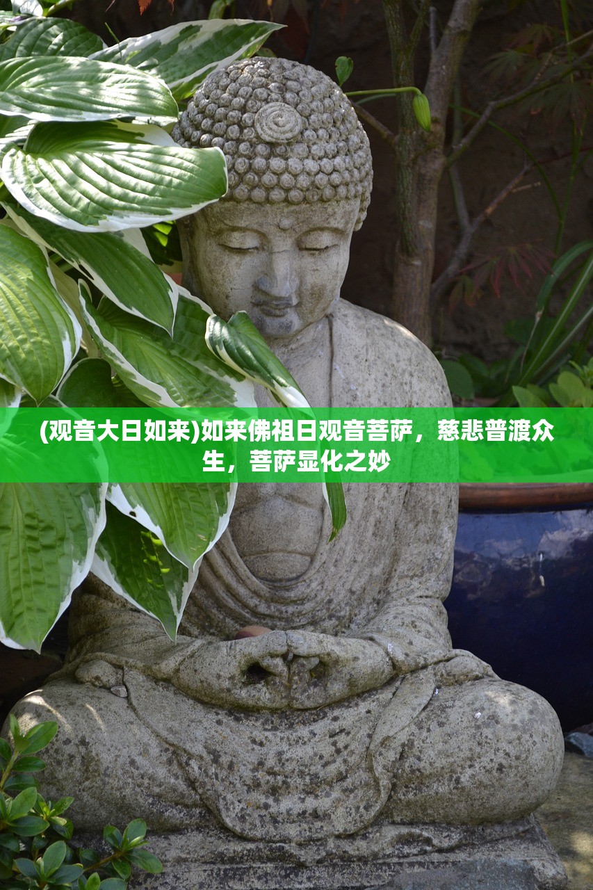 (圣灵之域礼包兑换码)九游圣灵之境，游戏新纪元的多维探索与体验