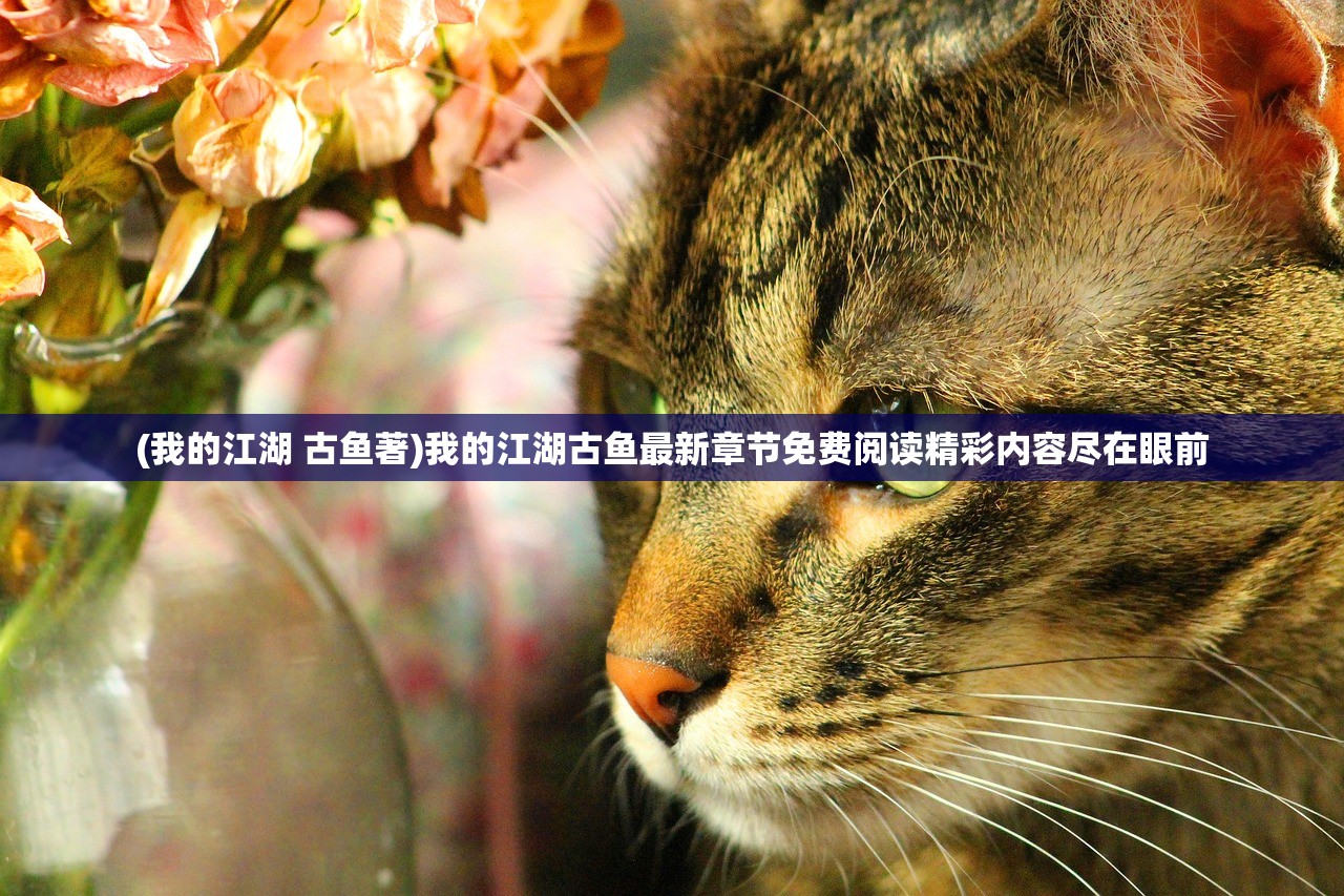 (锦绣江山手游攻略)锦绣江湖最强阵容：聚集星光熠熠，梦想与实力的碰撞