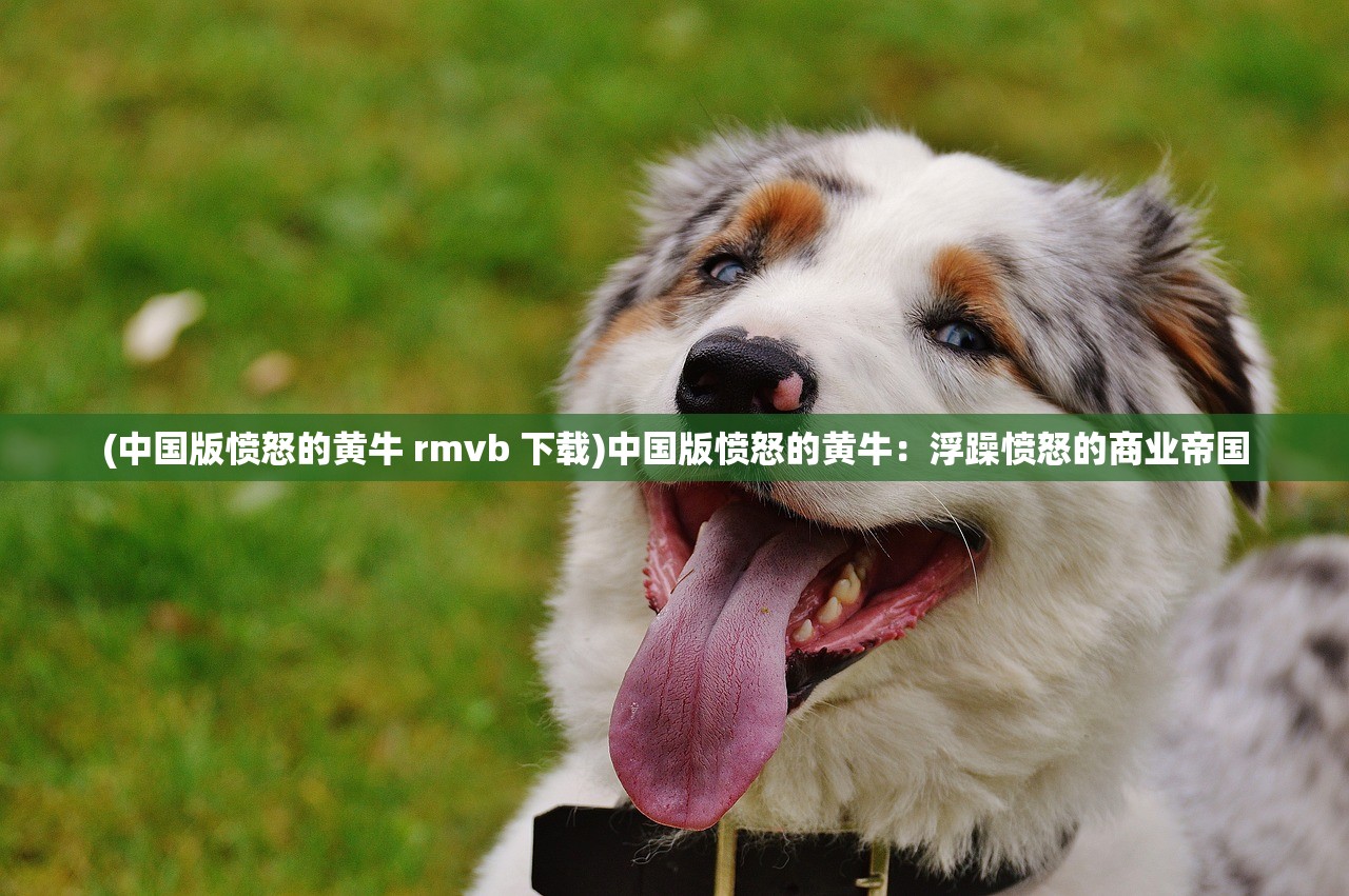 (中国版愤怒的黄牛 rmvb 下载)中国版愤怒的黄牛:浮躁愤怒的商业帝国 (中国版愤怒的黄牛 rmvb 下载)中国版愤怒的黄牛:浮躁愤怒的商业帝国