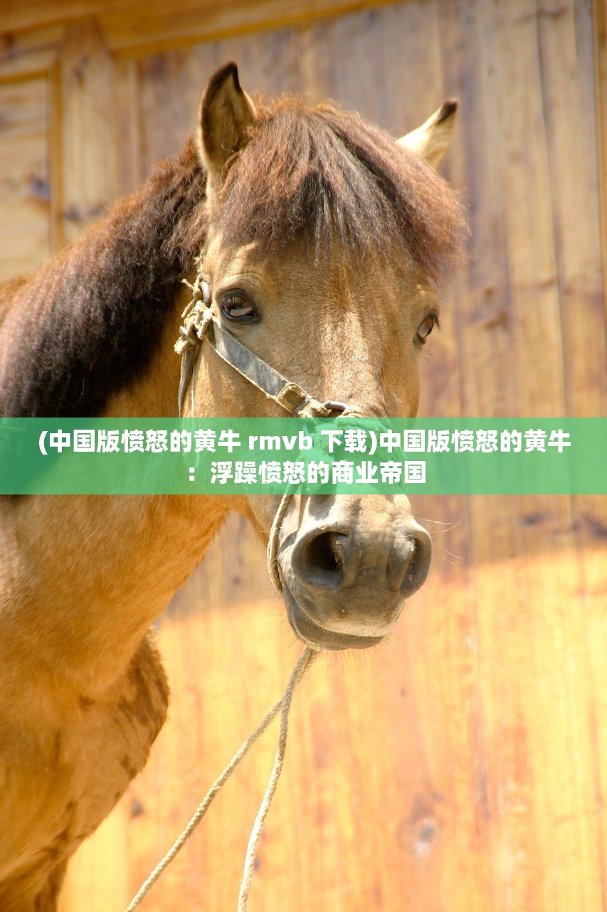 (中国版愤怒的黄牛 rmvb 下载)中国版愤怒的黄牛:浮躁愤怒的商业帝国 (中国版愤怒的黄牛 rmvb 下载)中国版愤怒的黄牛:浮躁愤怒的商业帝国