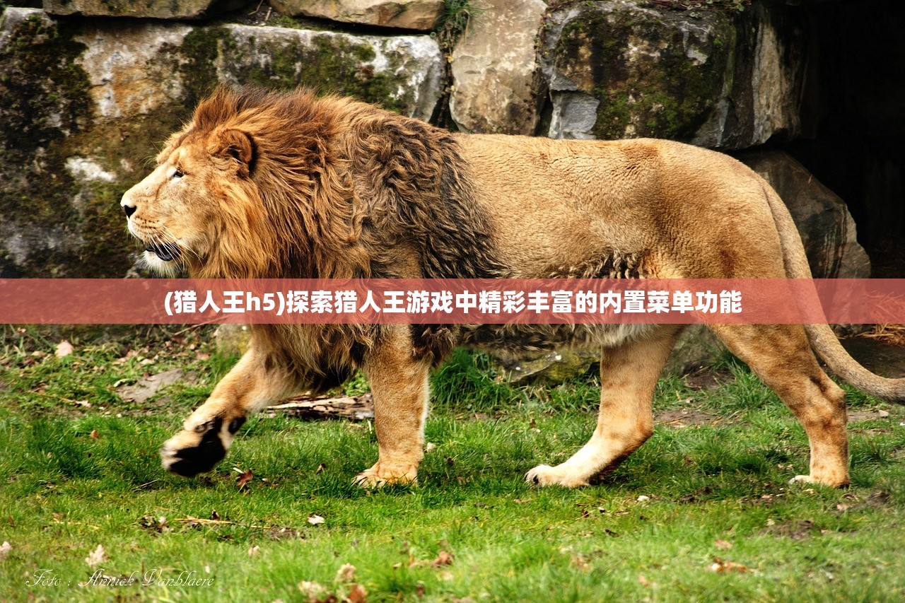 (蓝月争霸官网下载)蓝月争霸，一口气看完的热血传奇