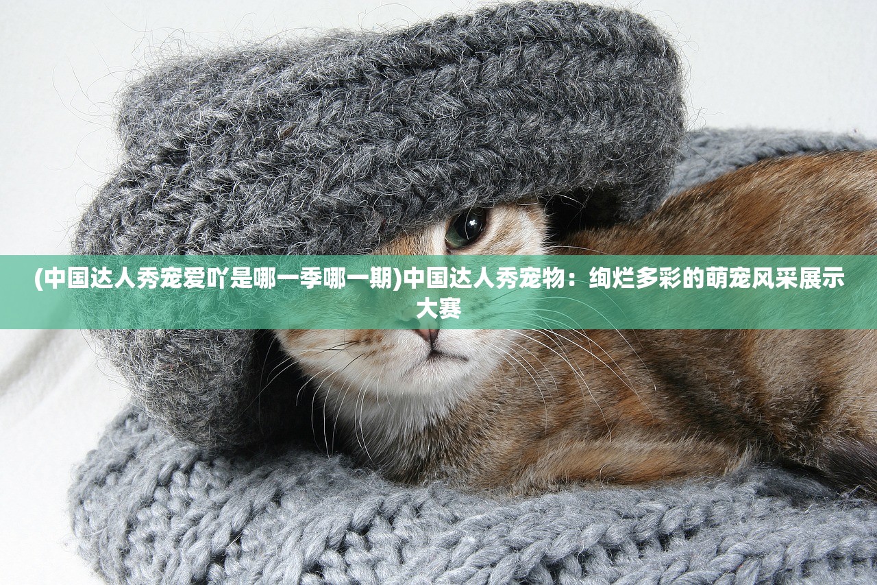(中国达人秀宠爱吖是哪一季哪一期)中国达人秀宠物：绚烂多彩的萌宠风采展示大赛