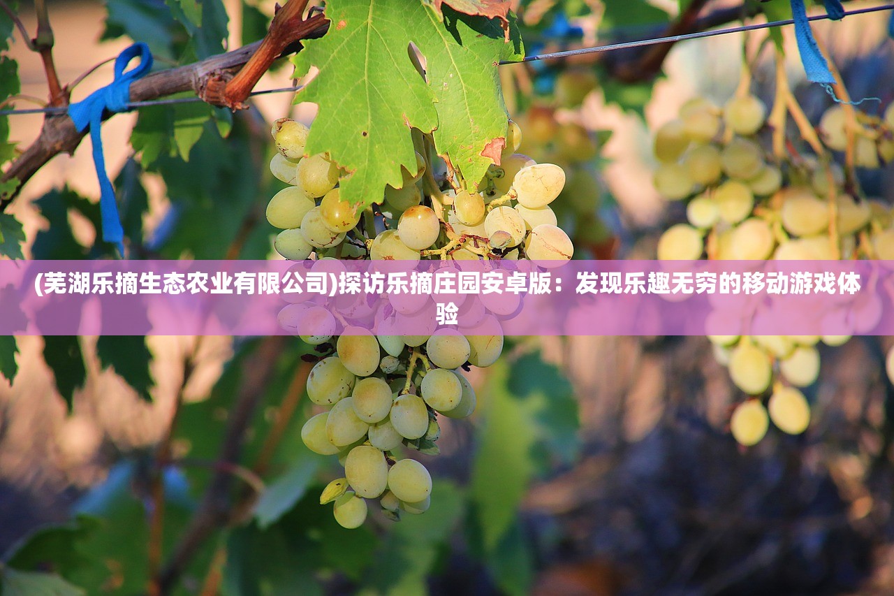 (钢岚新角色艾琳)钢岚新角色深度解析与探讨