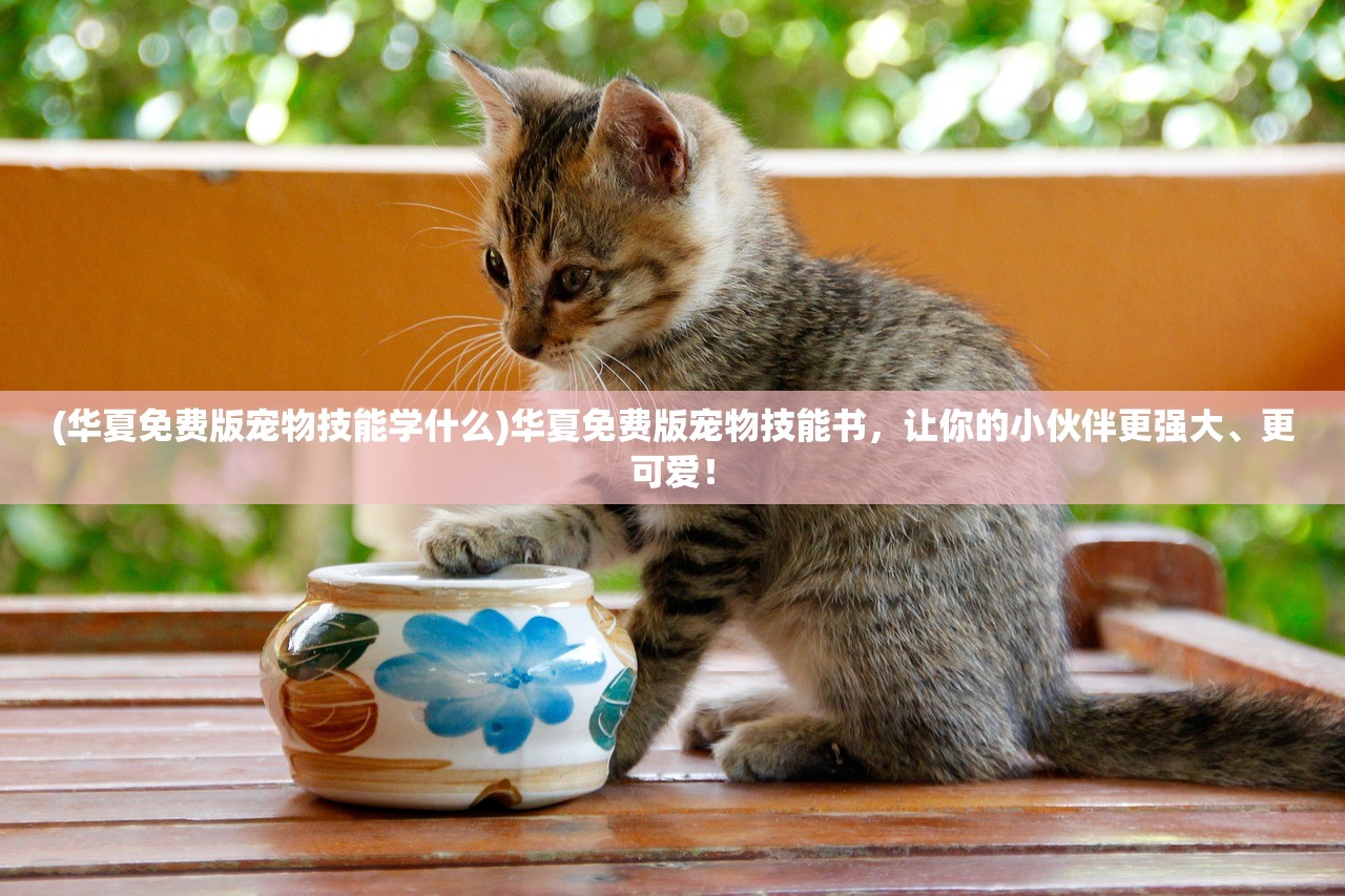 (华夏免费版宠物技能学什么)华夏免费版宠物技能书，让你的小伙伴更强大、更可爱！