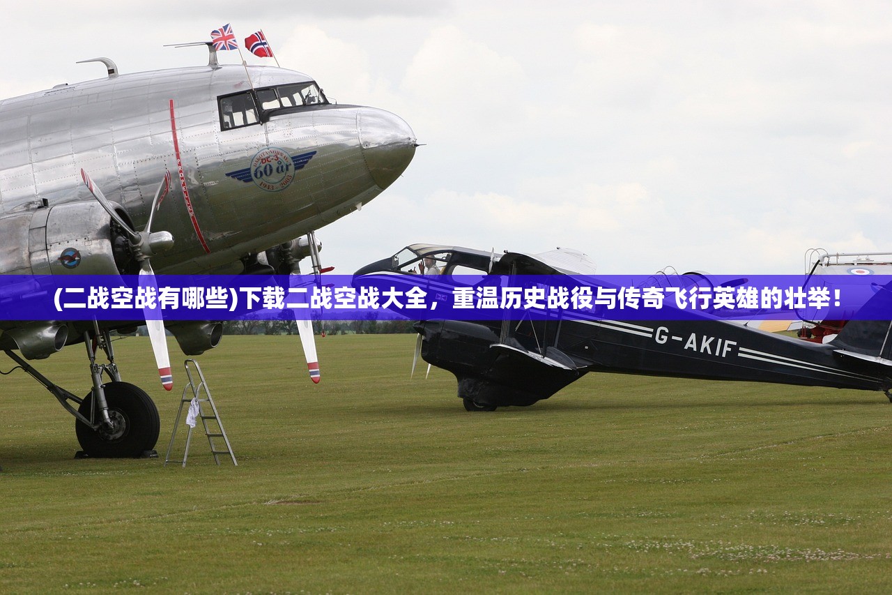 (莽荒纪百度云资源txt)莽荒纪完整版txt百度网盘,探寻经典之作的完整之旅 (莽荒纪百度云资源txt)莽荒纪完整版txt百度网盘,探寻经典之作的完整之旅