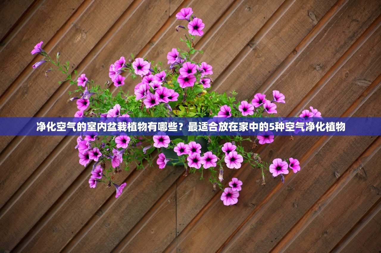 (唯武独尊小游戏怎么玩)唯武独尊小游戏，热血江湖的武侠梦工厂