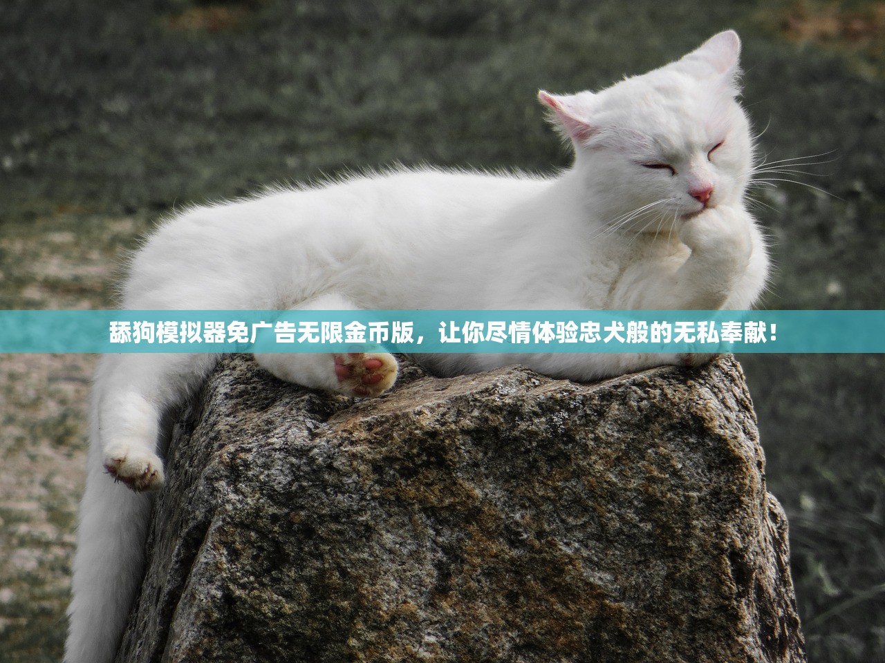 (凡人修仙传黄化绿改)凡人修仙传黄化现象，深度解析与探讨