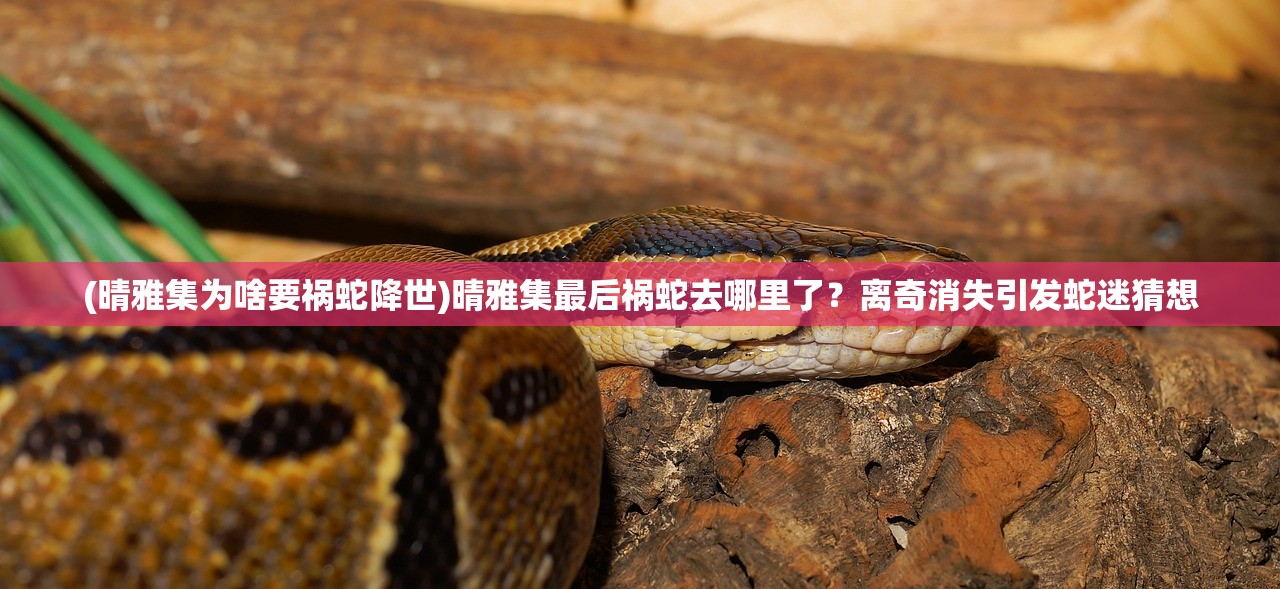 (桃源记什么时候公测)桃源记2公测时间揭秘，新篇章的开启与期待