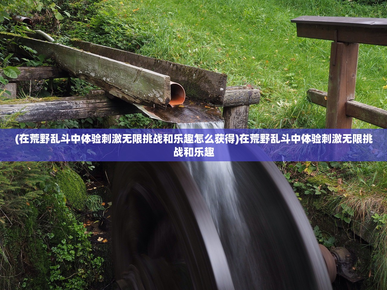 2020年全年免费公开资料|探索未来科技的无限可能_红单版.6.698