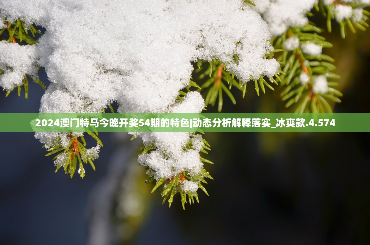 (三国群英传贾诩将灵怎么获得)群英猛将传贾诩技能详解及策略应用指南 (三国群英传贾诩将灵怎么获得)群英猛将传贾诩技能详解及策略应用指南