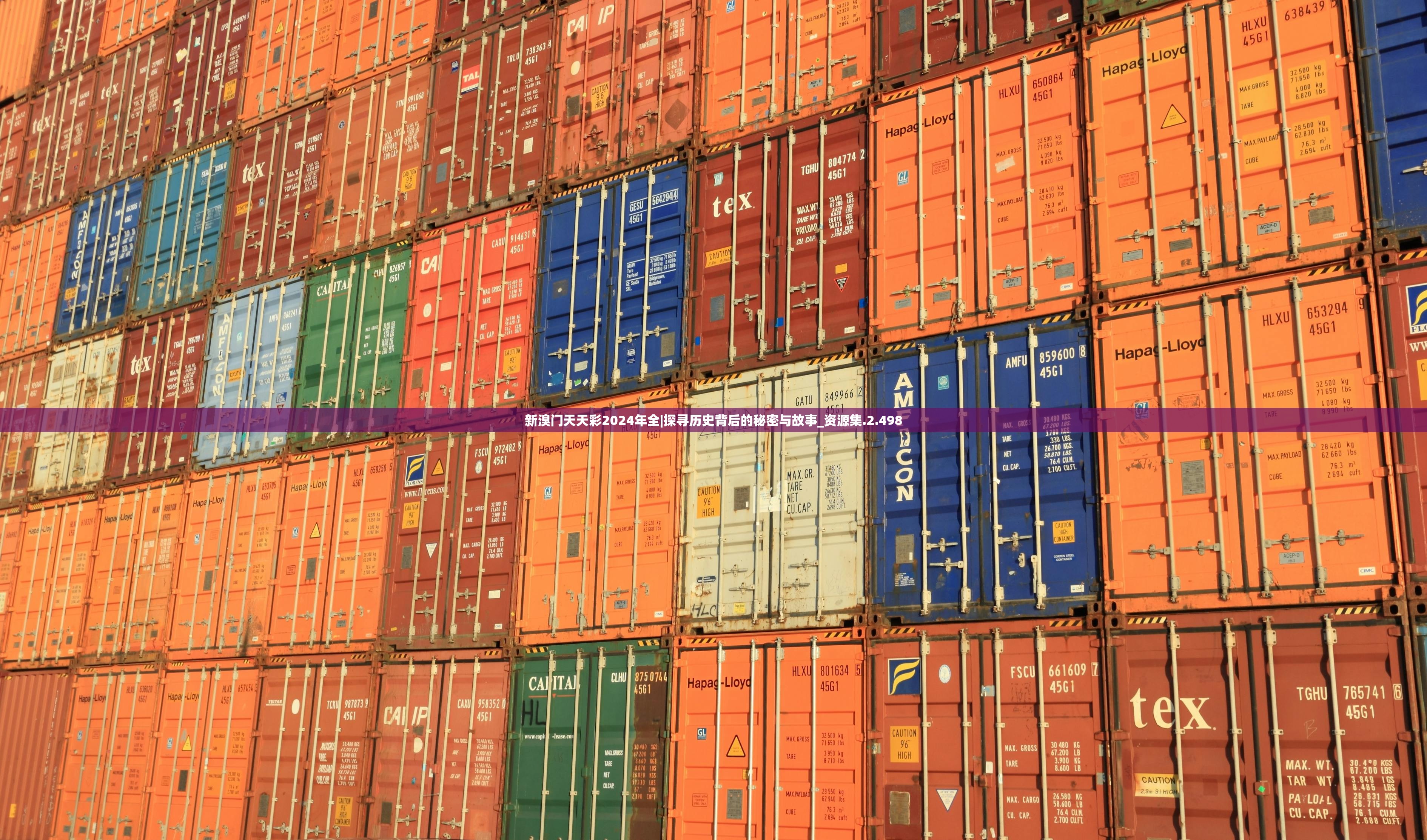 新溴门天天彩2024年全|探寻历史背后的秘密与故事_资源集.2.498