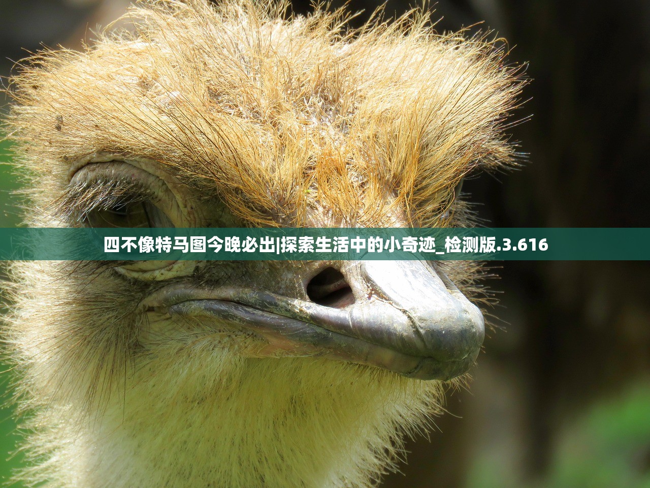 (永劫无聊妖刀姬)永劫妖塔最强阵容搭配策略，打造无敌战斗团队