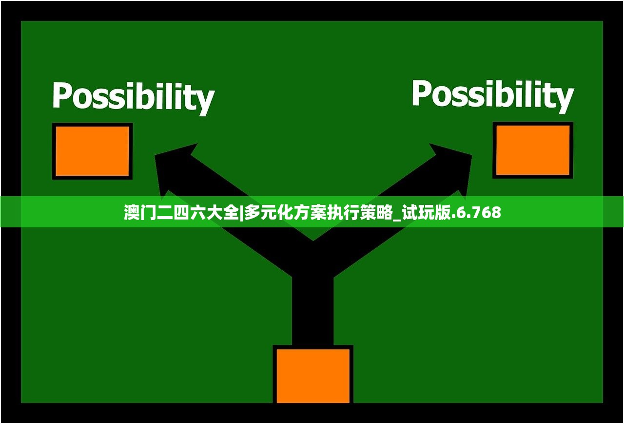 澳门二四六大全|多元化方案执行策略_试玩版.6.768