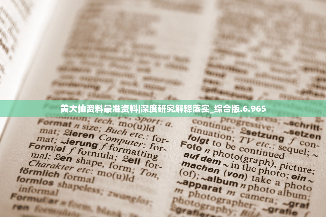 (代号dpark)代号DP，深度探索与策略决策的象征