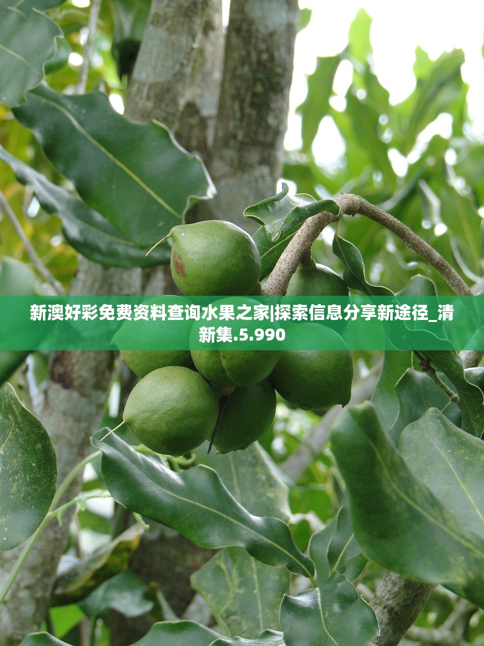 (关羽暴击是什么模式)关于暴击英雄关羽封面的深度解析 (关羽暴击是什么模式)关于暴击英雄关羽封面的深度解析