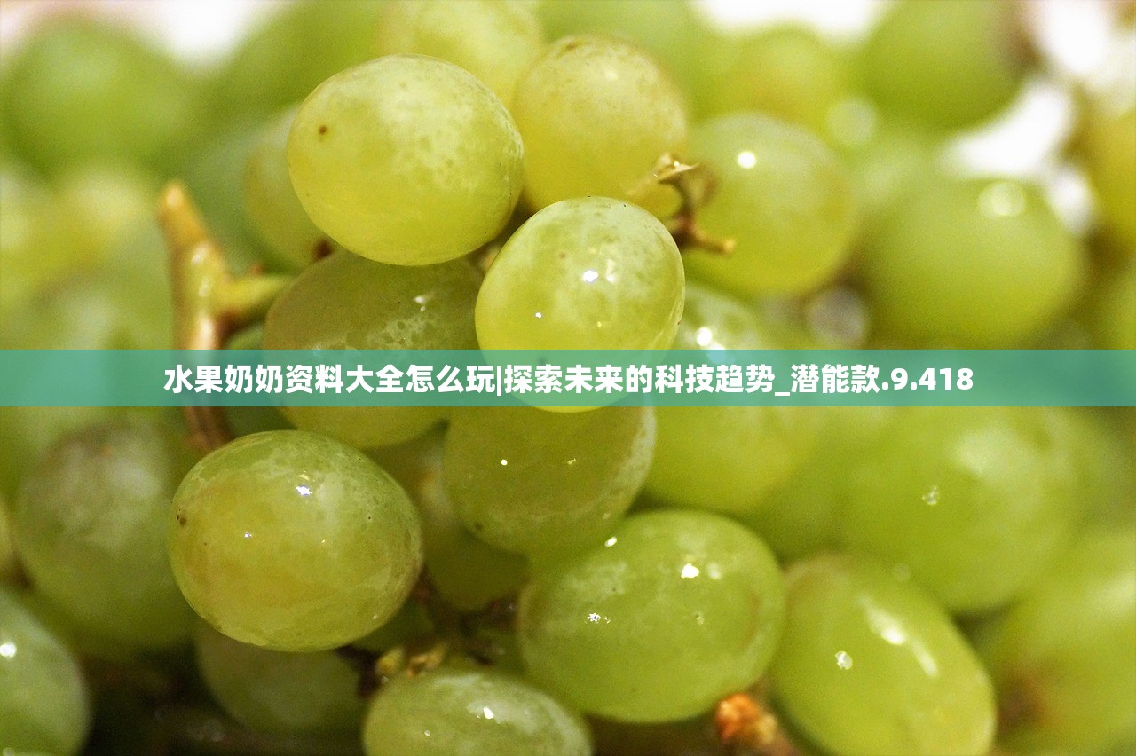 (莽荒纪纪宁传奇阵容搭配)莽荒纪纪宁传奇阵容，游戏策略与深度解析