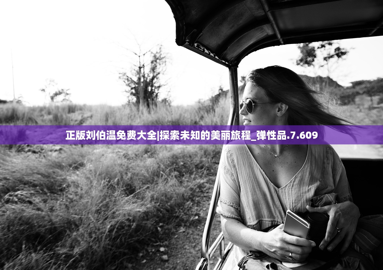 (失落境界)失落四境官方版，深度探索与常见问题解答