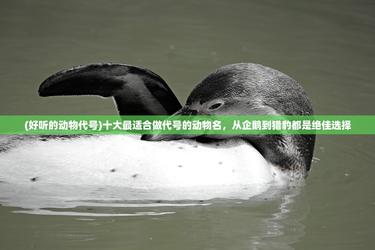 (冬蜃楼怎么玩)冬蜃楼全面攻略，探索未知领域，解锁隐藏成就