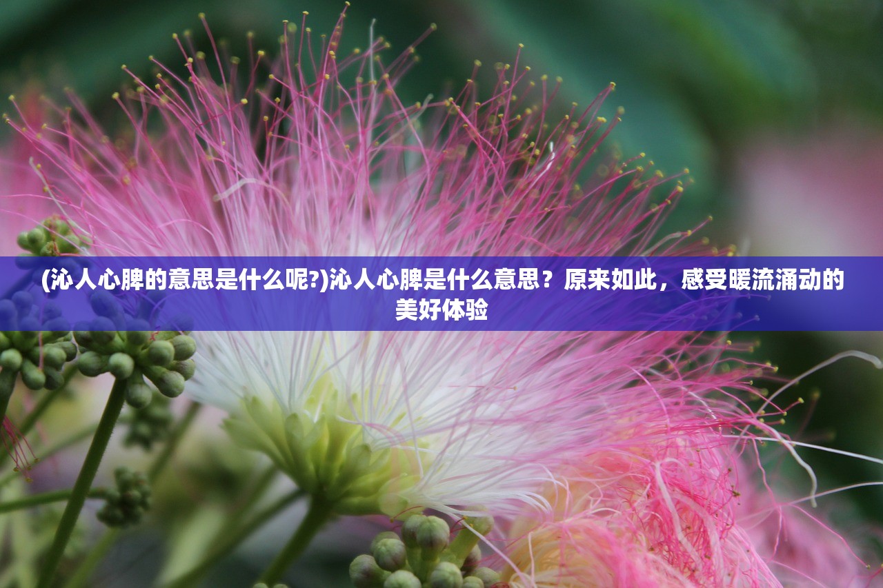 (这些lol王者皮肤都有哪些种类和特色呢英雄)这些LOL王者皮肤都有哪些种类和特色呢? (这些lol王者皮肤都有哪些种类和特色呢英雄)这些LOL王者皮肤都有哪些种类和特色呢?