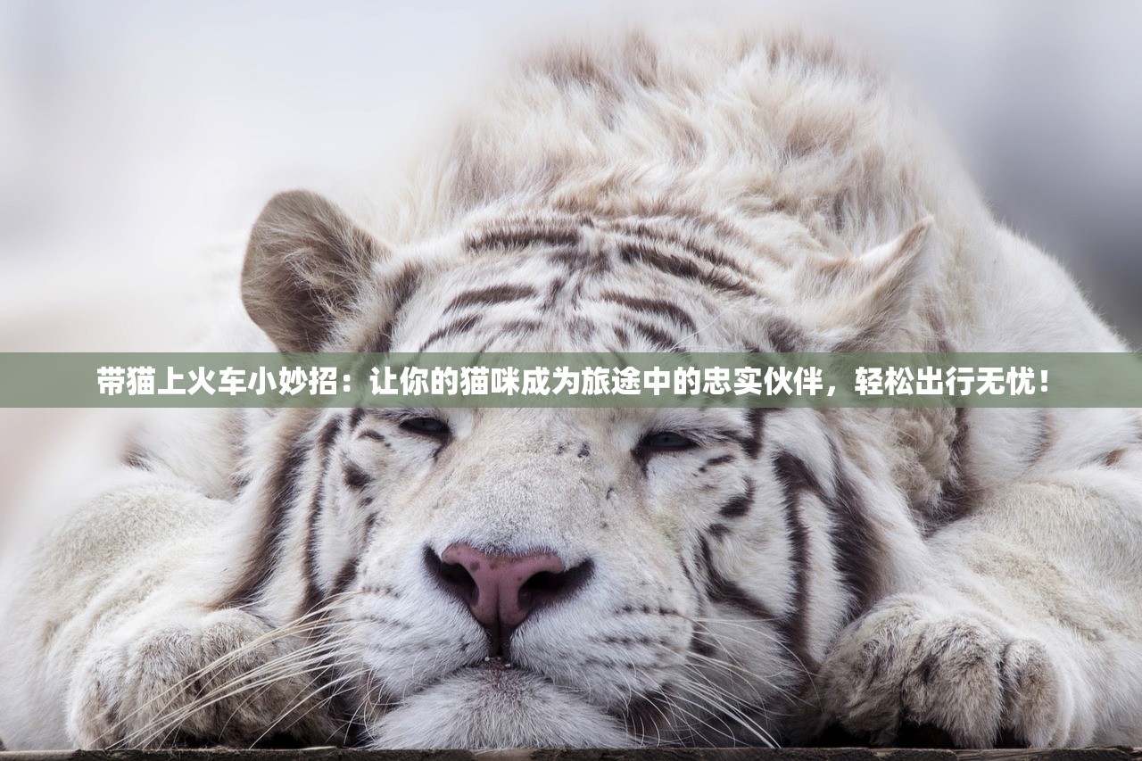 (理智边界 攻略)理智边界攻略，探索未知领域的智慧之道