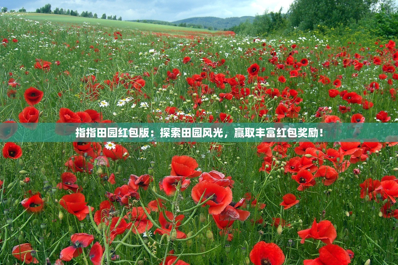 (歧路旅人大陆的霸者wiki日本)歧路旅人大陆的霸者Wiki——深度解析与常见问题解答