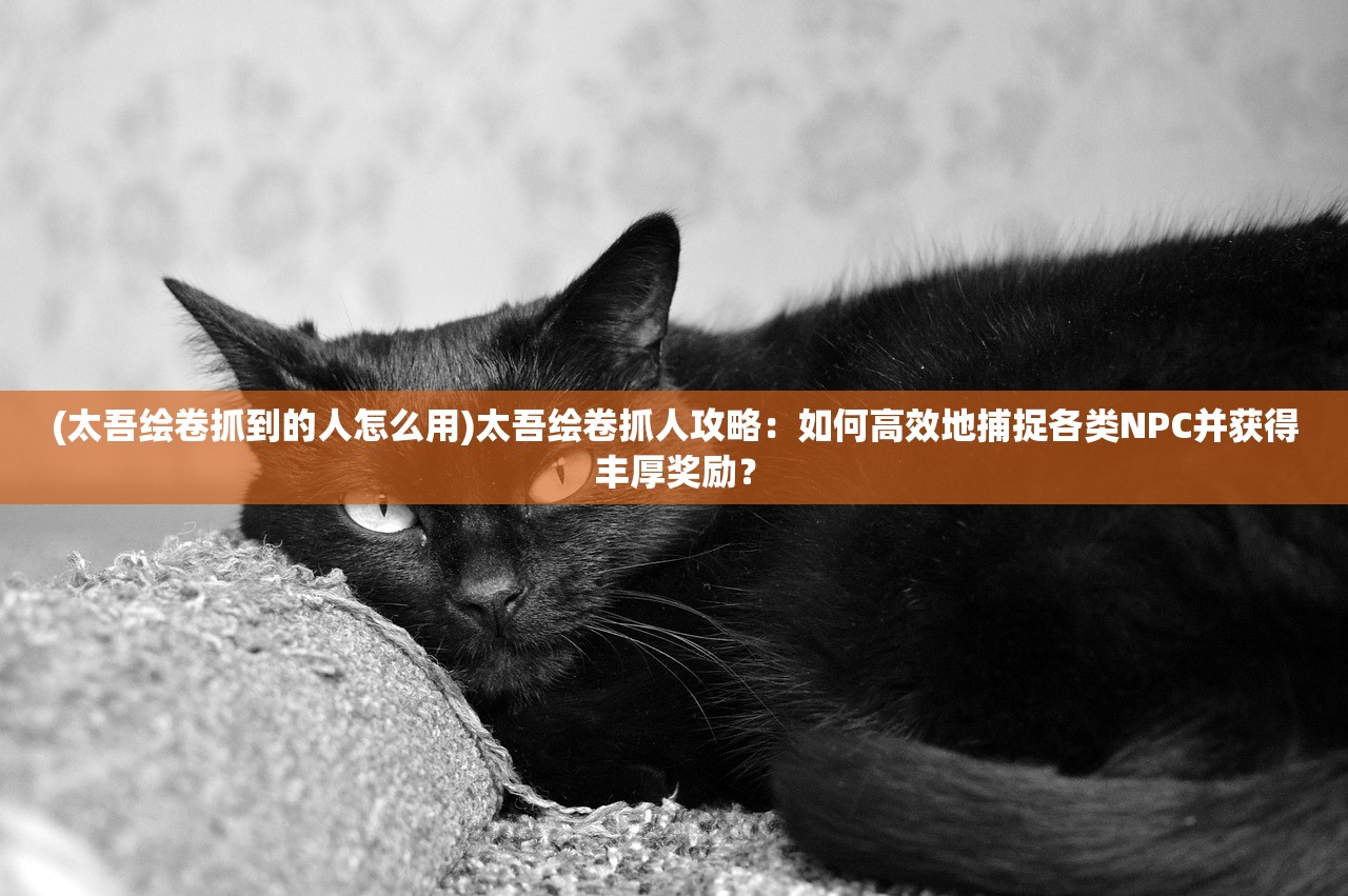 (我的合租女友原版游戏在线观看)我的合租女友原版游戏,深度解析与探索 (我的合租女友原版游戏在线观看)我的合租女友原版游戏,深度解析与探索