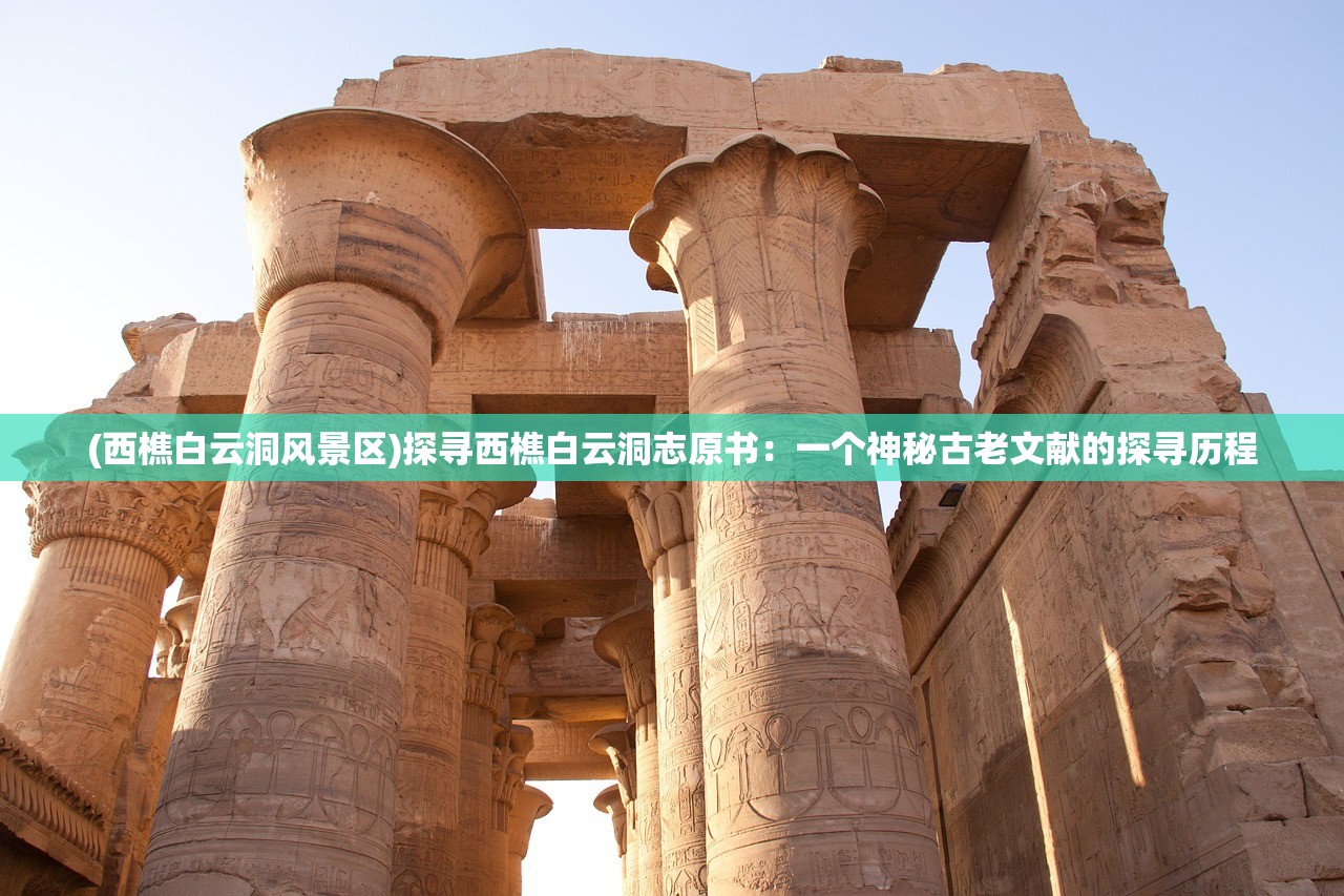 (白色游戏王卡)游戏王白之物语卡表深度解析与探讨