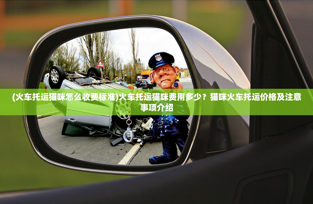 (艾尔之光哪里刷ed)艾尔之光ED赚取全攻略，从入门到精通