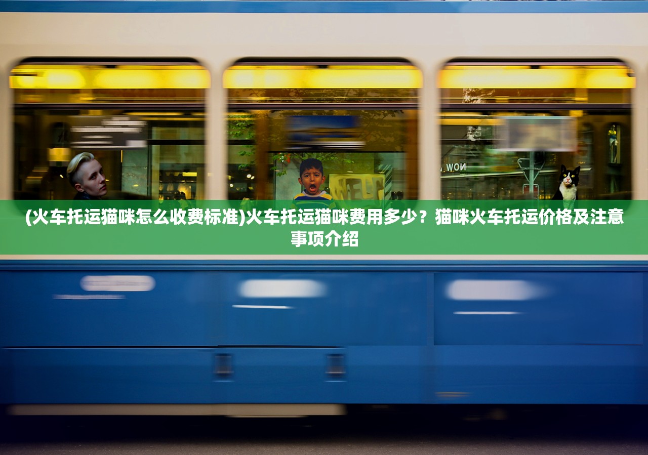 (新仙剑九州记)剑笑九州新仙剑奇侠传,探寻仙侠世界的魅力与传奇 (新仙剑九州记)剑笑九州新仙剑奇侠传,探寻仙侠世界的魅力与传奇