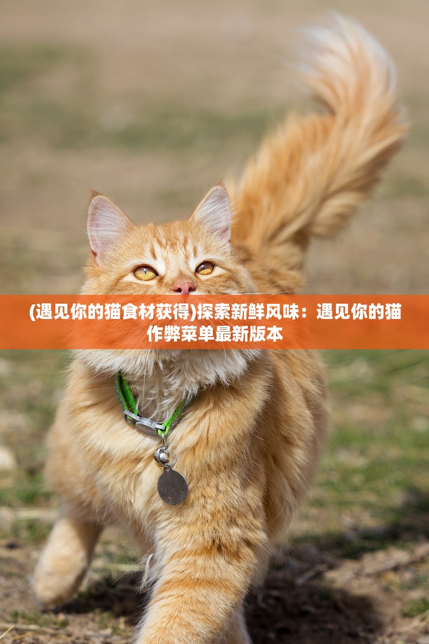 (寂静岭5攻略图文详解)寂静岭5攻略图文详解及常见问题解答