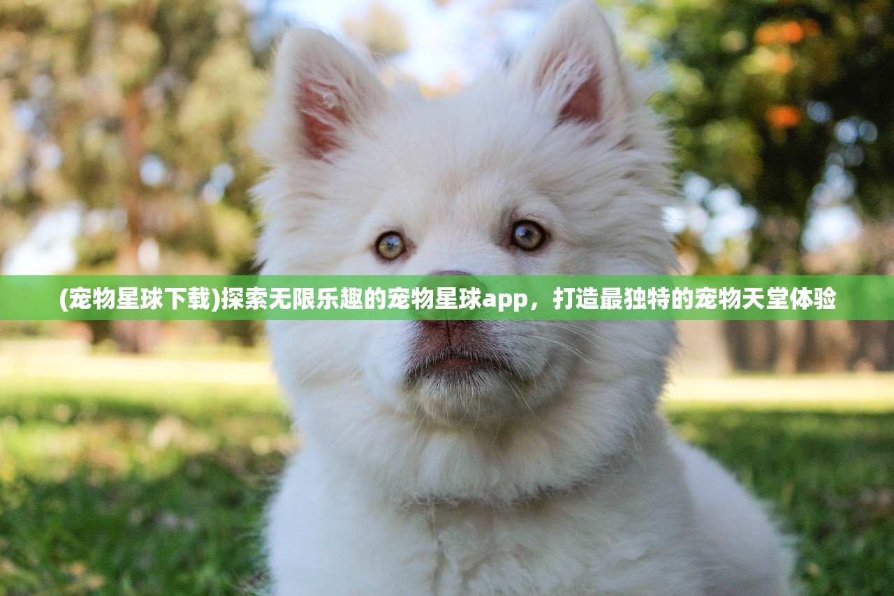 (三国群英传2手机版单机奥丁)三国群英传2手机版单机，重温经典战略游戏