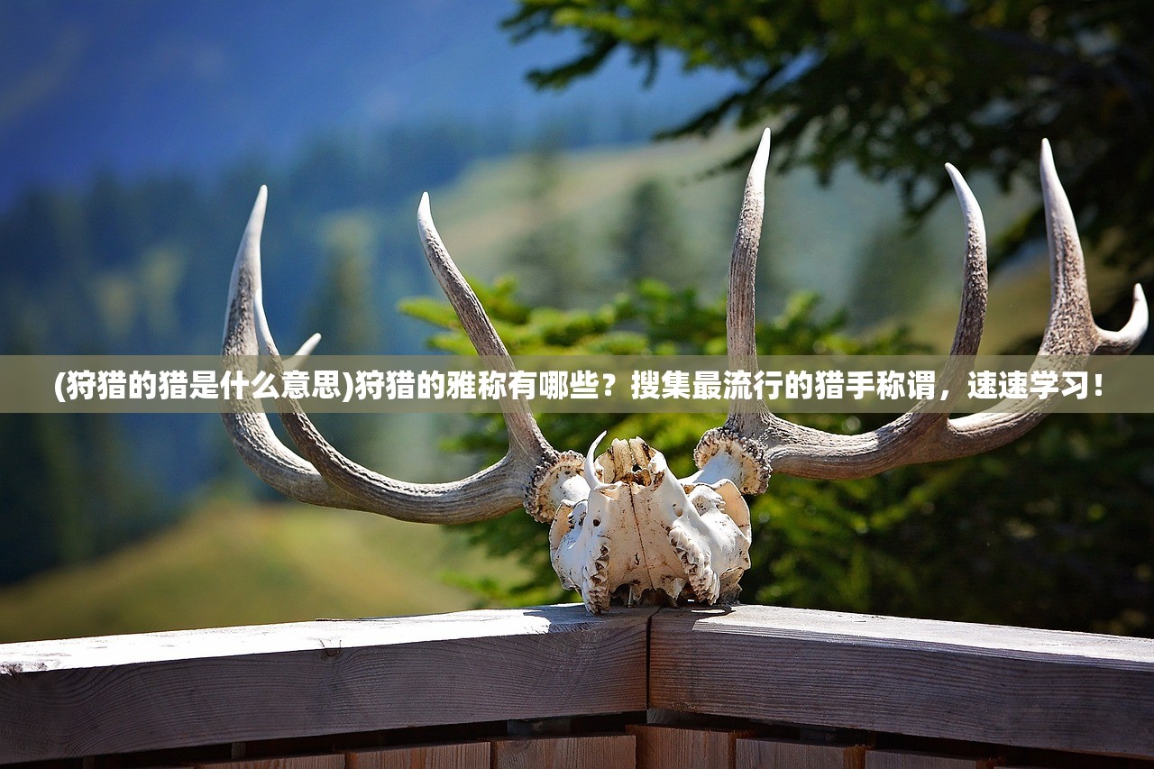 (sumikko farm角落小伙伴农场)角落小伙伴的农场生活国际版,体验田园生活的乐趣与挑战 (sumikko farm角落小伙伴农场)角落小伙伴的农场生活国际版,体验田园生活的乐趣与挑战